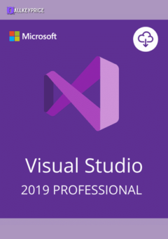 Microsoft Visual Studio 2019 Professional