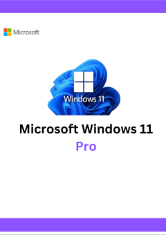 Windows 11 Pro